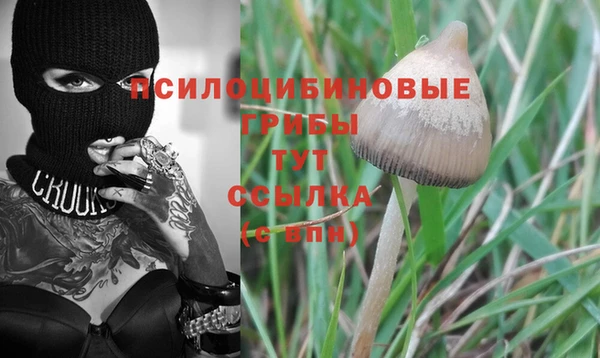 меф Алексин