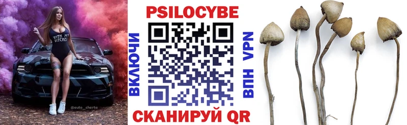 дарнет шоп  Кириши  Галлюциногенные грибы мухоморы 